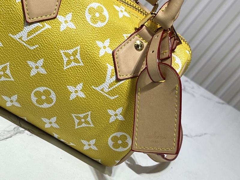 LV Speedy Bags